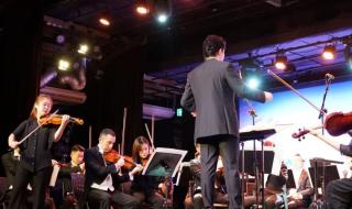 想学小提琴网课 想学小提琴网课